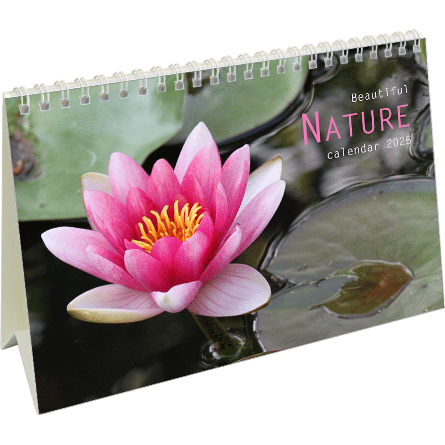 Calendrier de bureau Beautiful Nature 2025