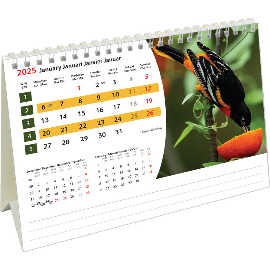 Calendrier de bureau Wildlife 2025 - Janvier