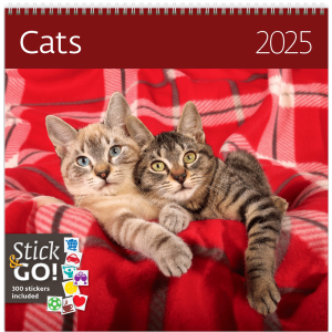 Calendrier Cats 2025