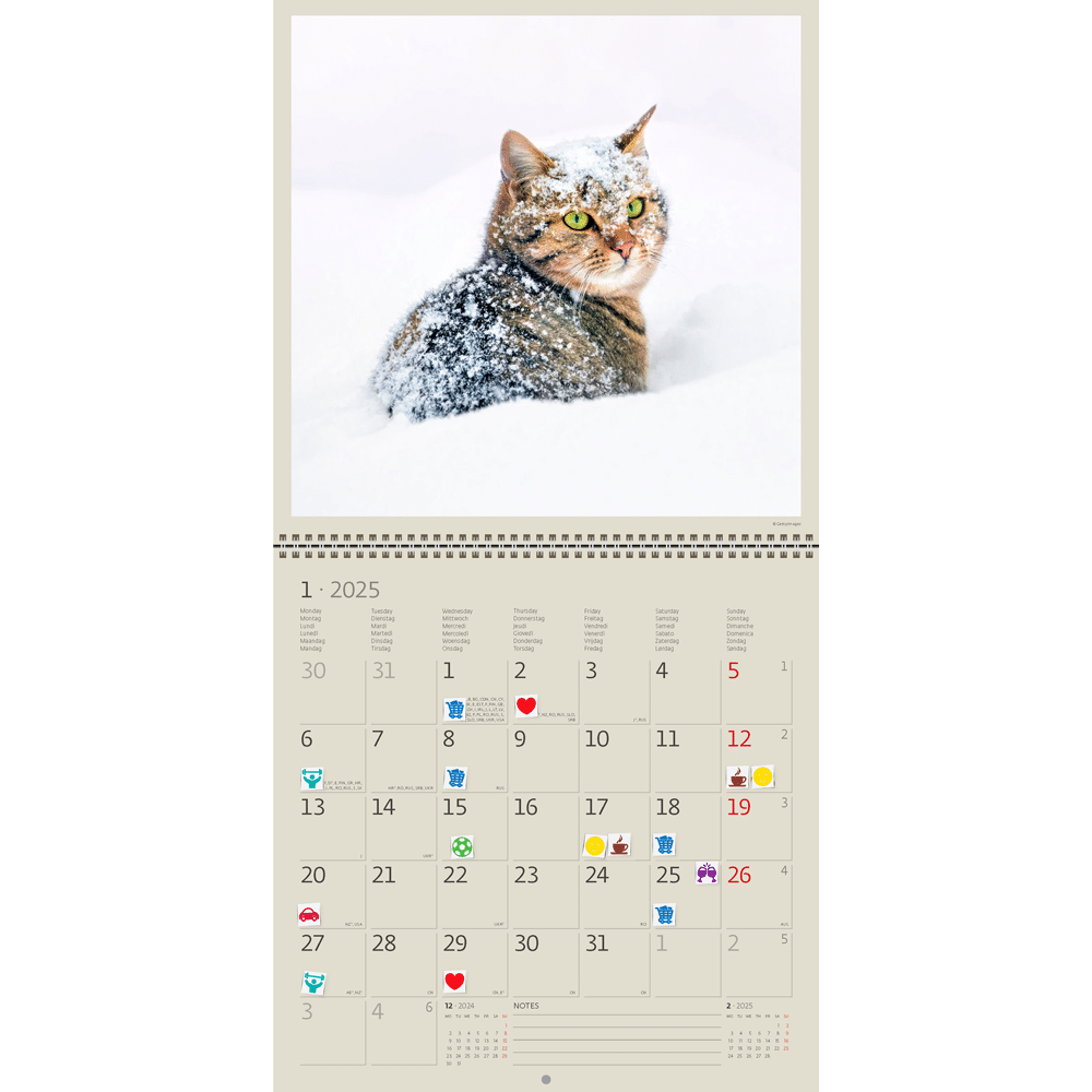 Calendrier Cats 2025 - Janvier