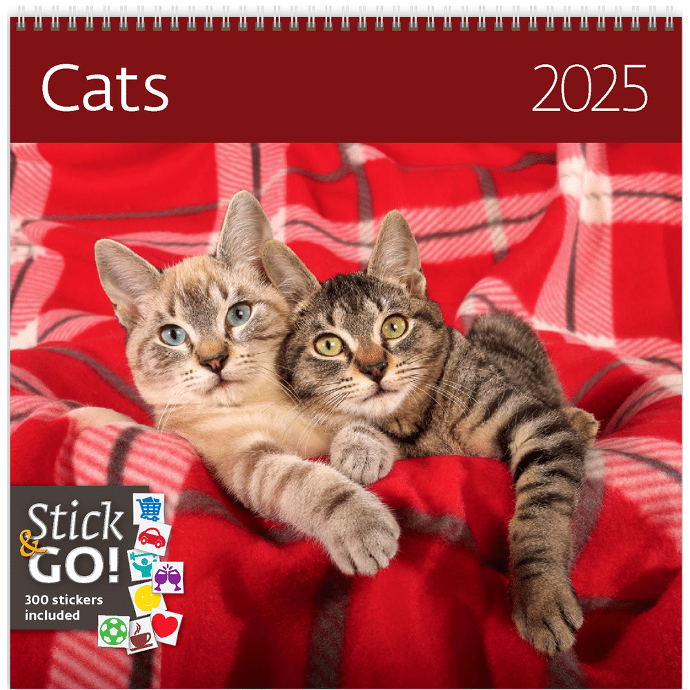 Calendrier Cats 2025