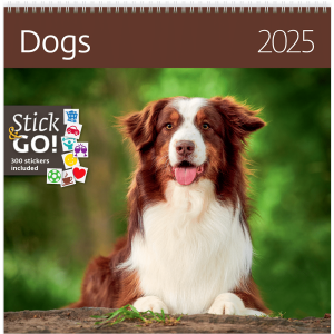 Calendrier Dogs 2025