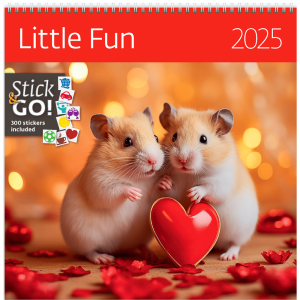Calendrier Little Fun 2025