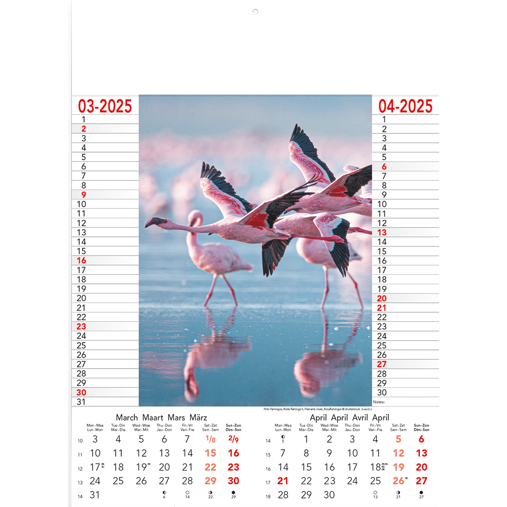 Calendrier Wild & Free 2025 - page 2